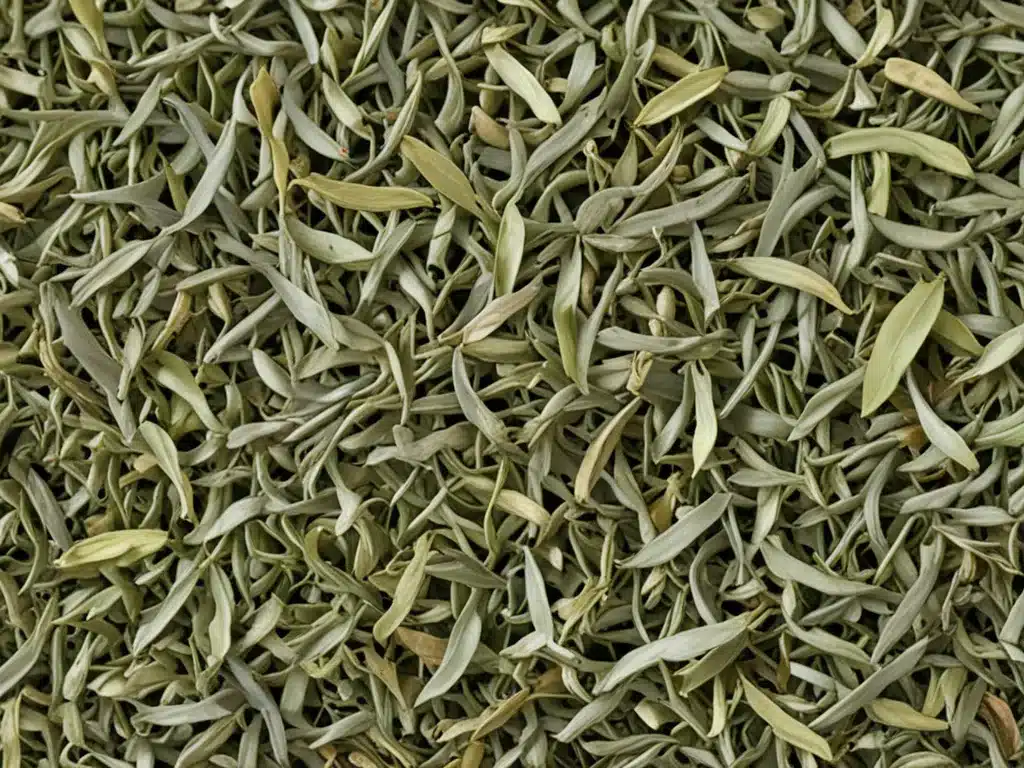 White Tea – Delicate Leaves Pack a Healthy Punch